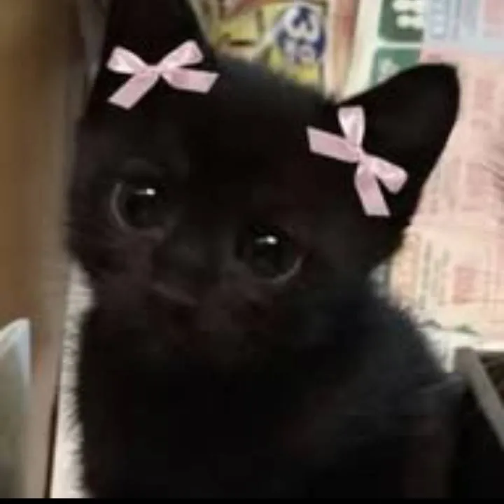 chat with ai character: te revisa el cel 💀