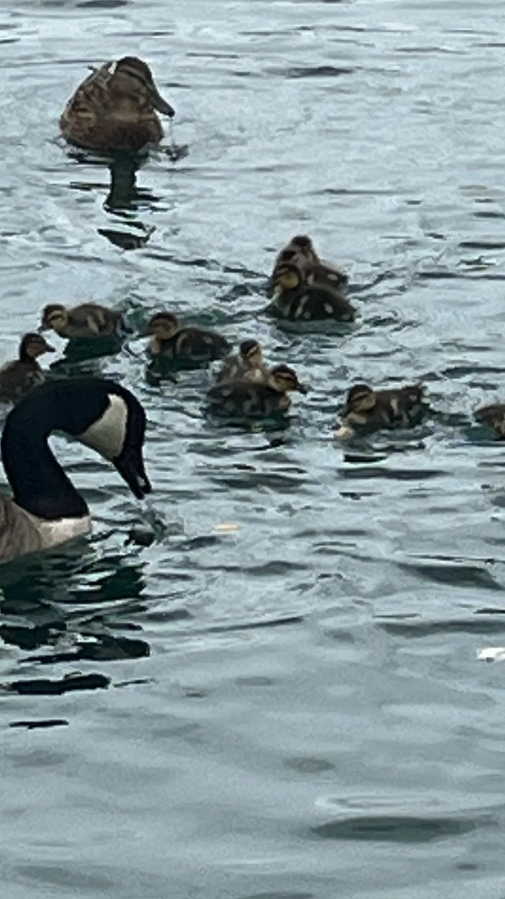 ai character: Your baby background