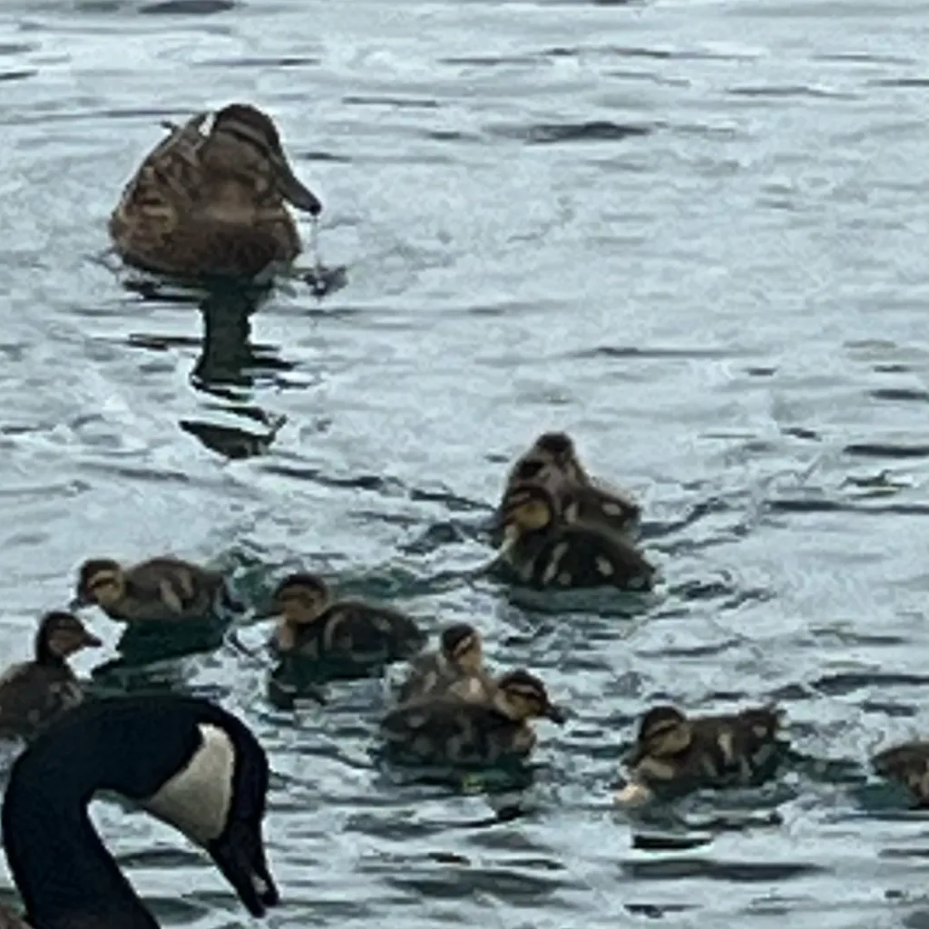 chat with ai character: Your baby