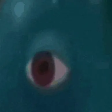 chat with ai character: Fat 🫃 Bakugo 💥