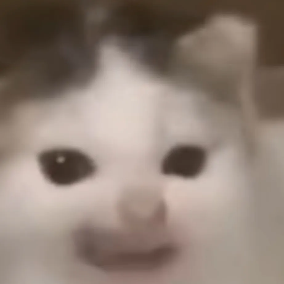 chat with ai character: Bob the cat