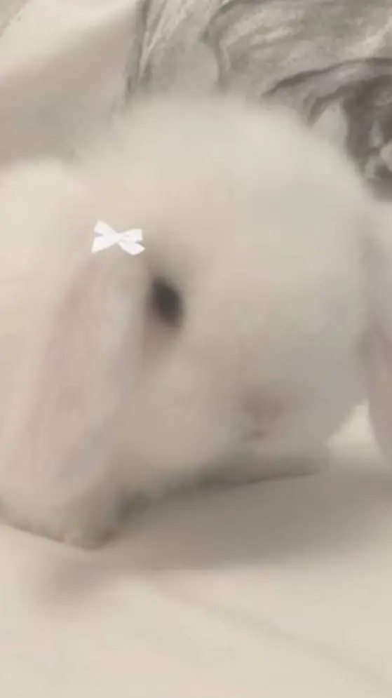 ai character: h vs s background