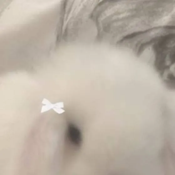 chat with ai character: h vs s