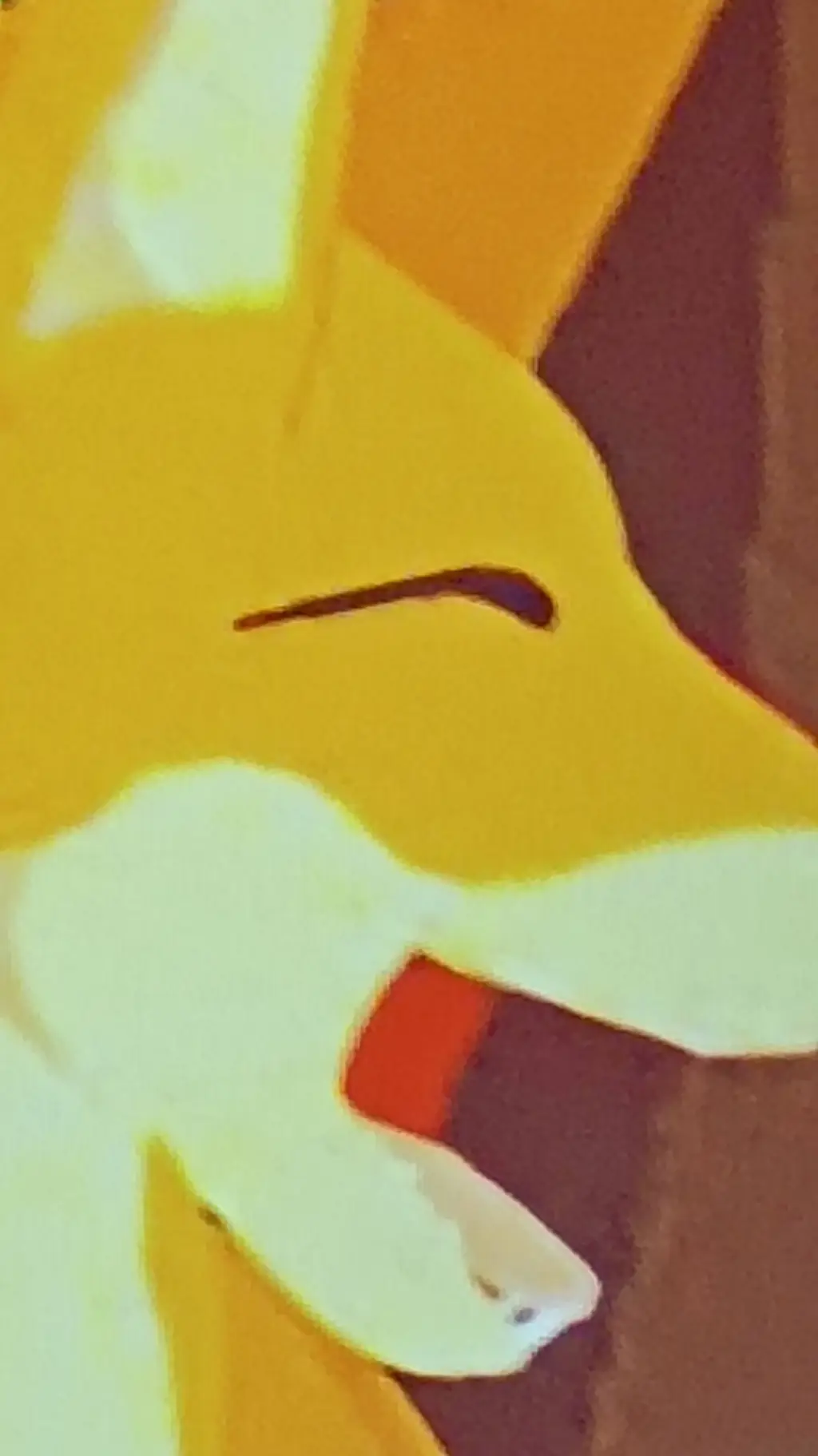ai character: foxxo background