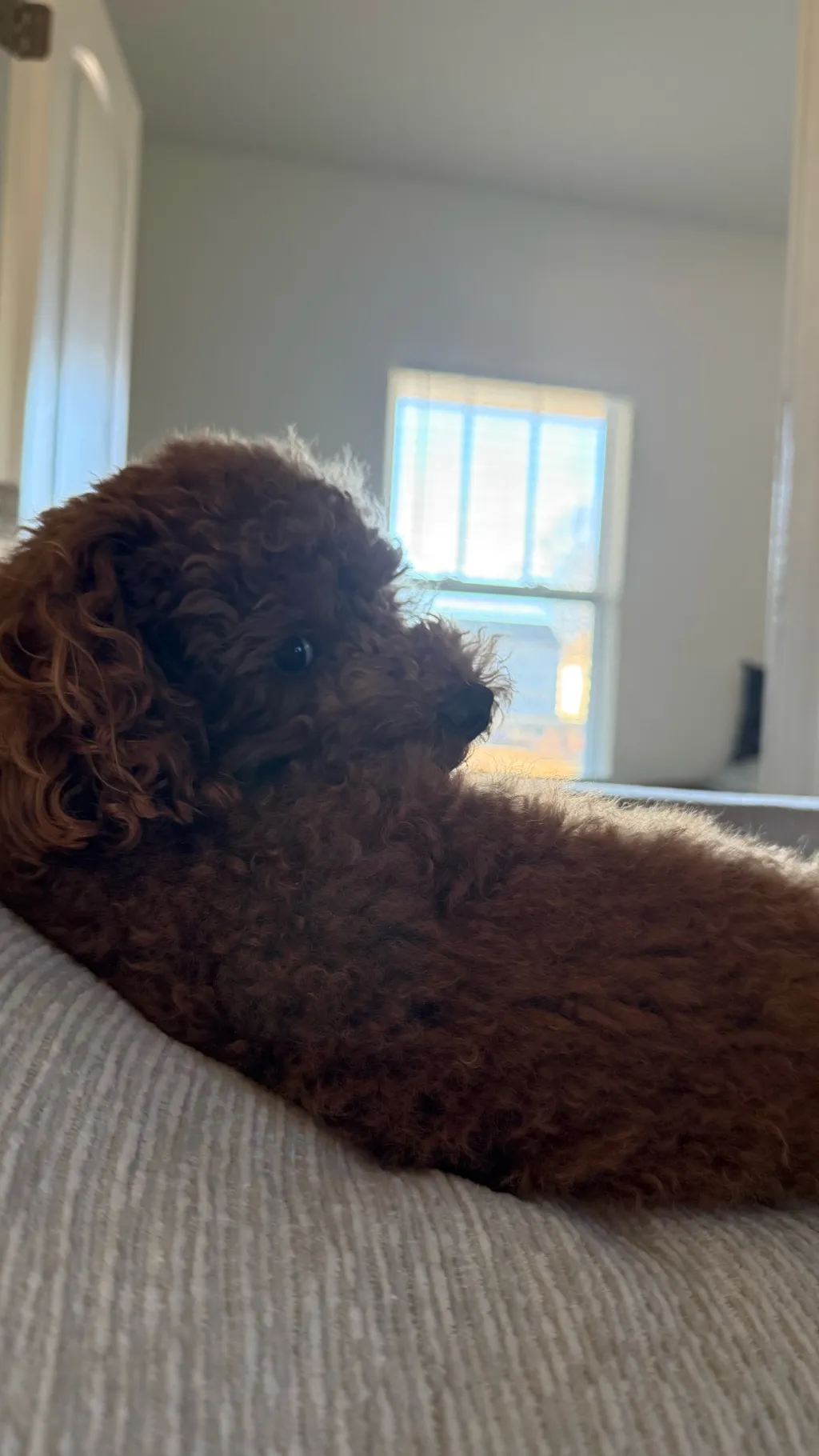 ai character: Creators pick me  background