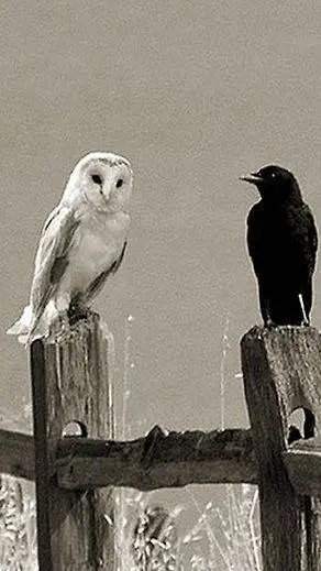 ai character: Soren background