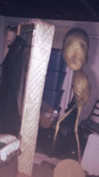 ai character: Room Dweller background