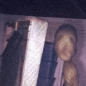 chat with ai character: Room Dweller