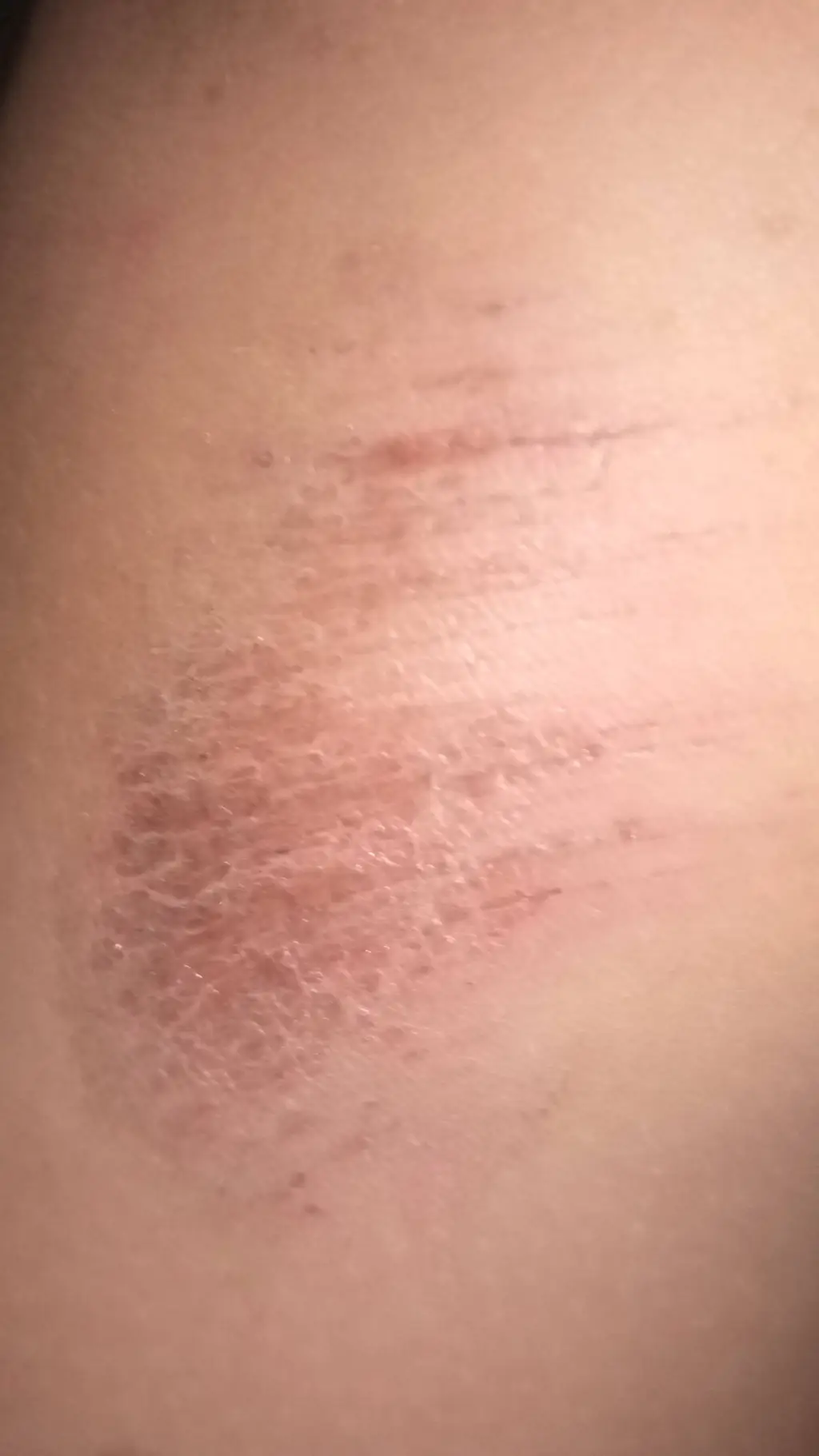 ai character: kaila background