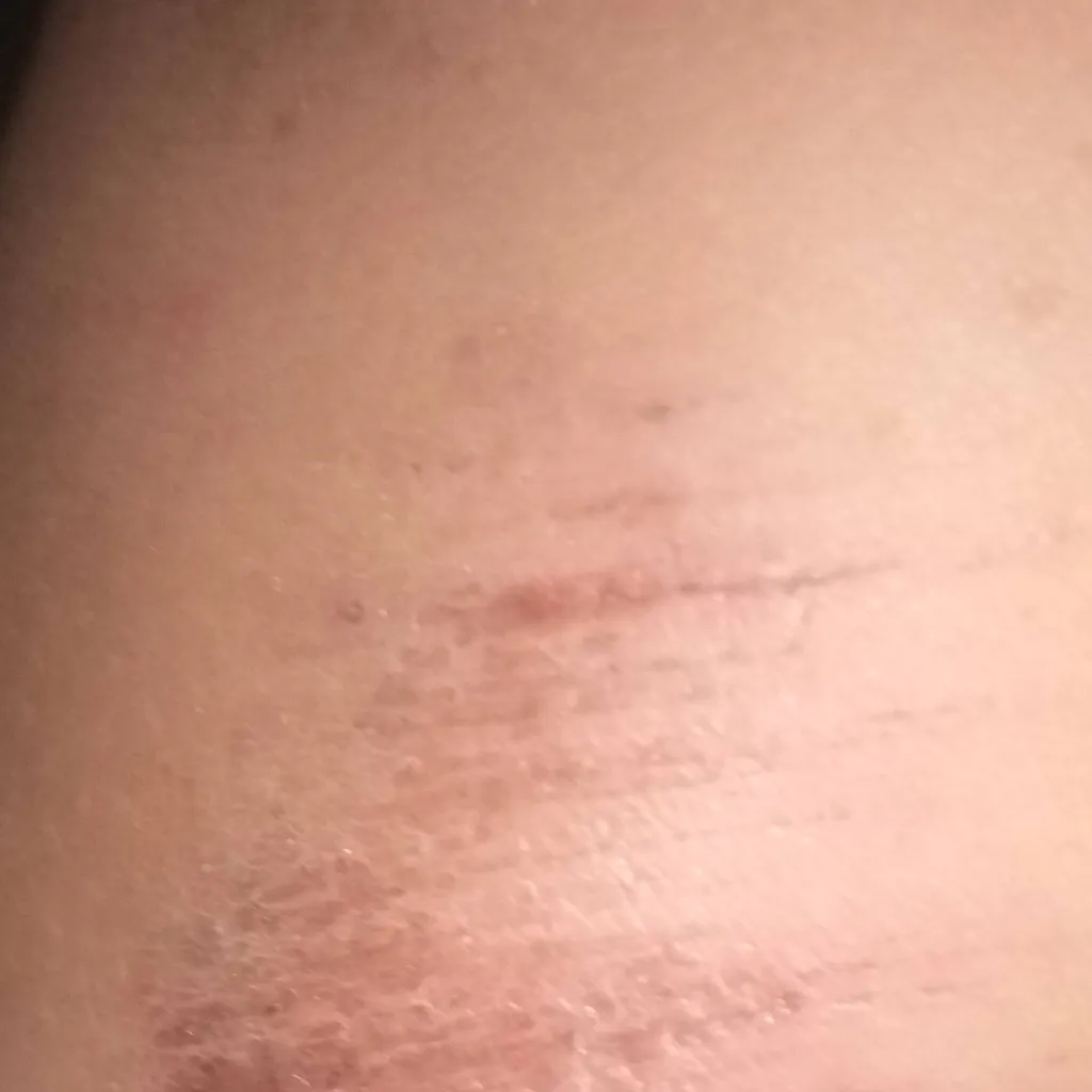 chat with ai character: kaila