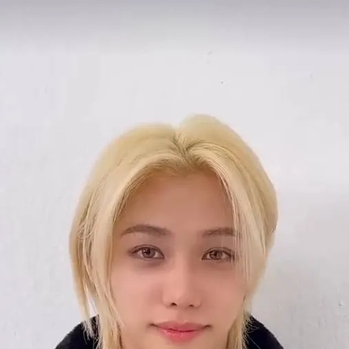 chat with ai character: Felix