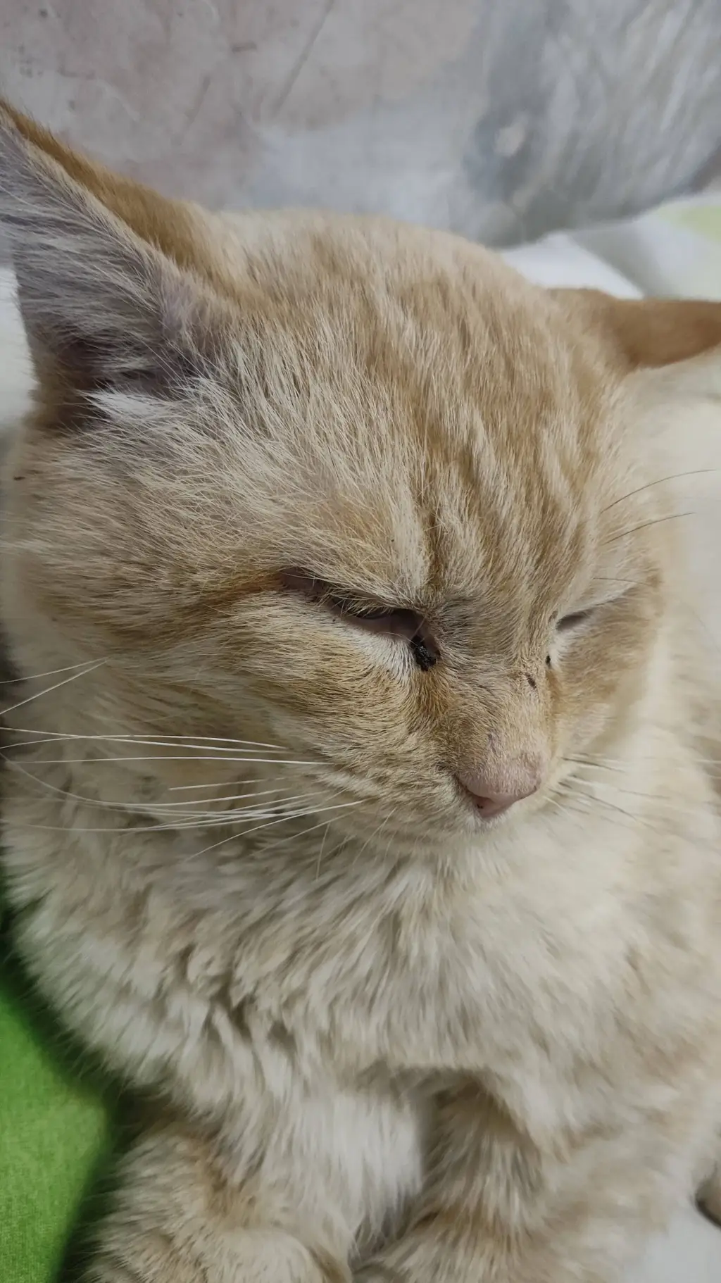 Talkie AI - Chat with Вася