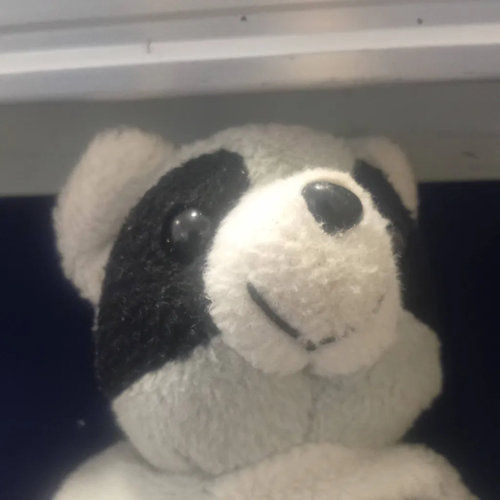 chat with ai character: bonnyfacio