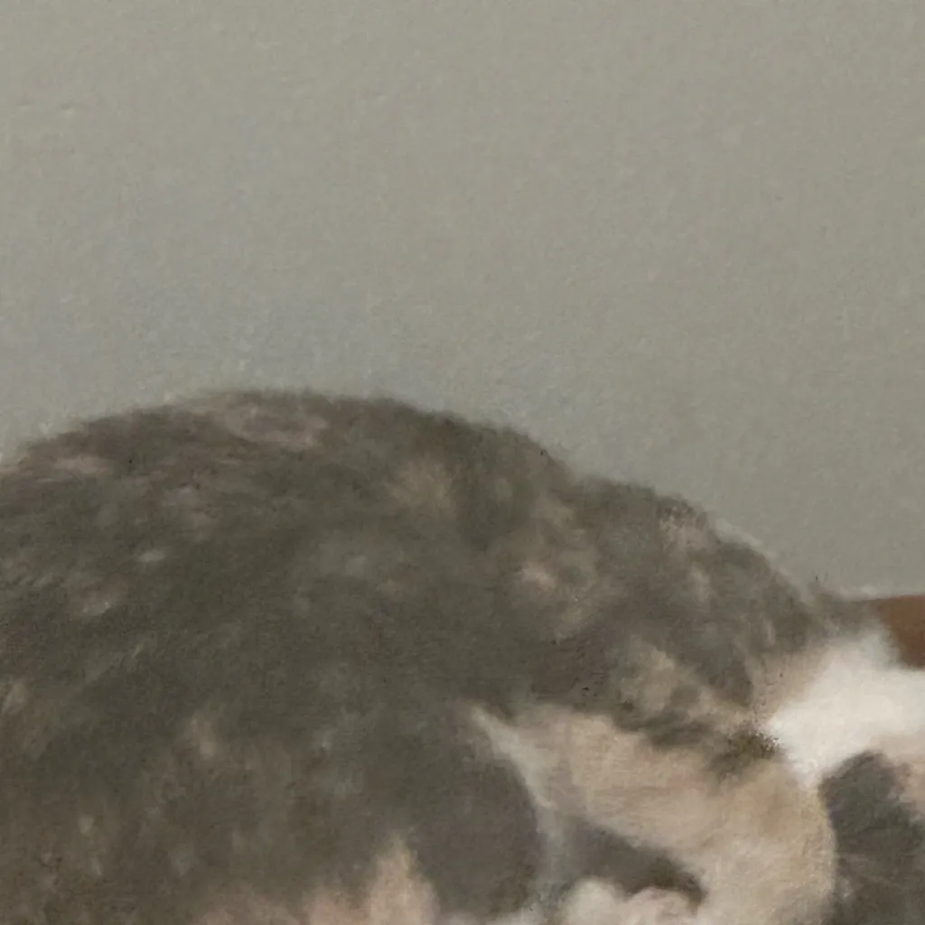 chat with ai character: Annabella