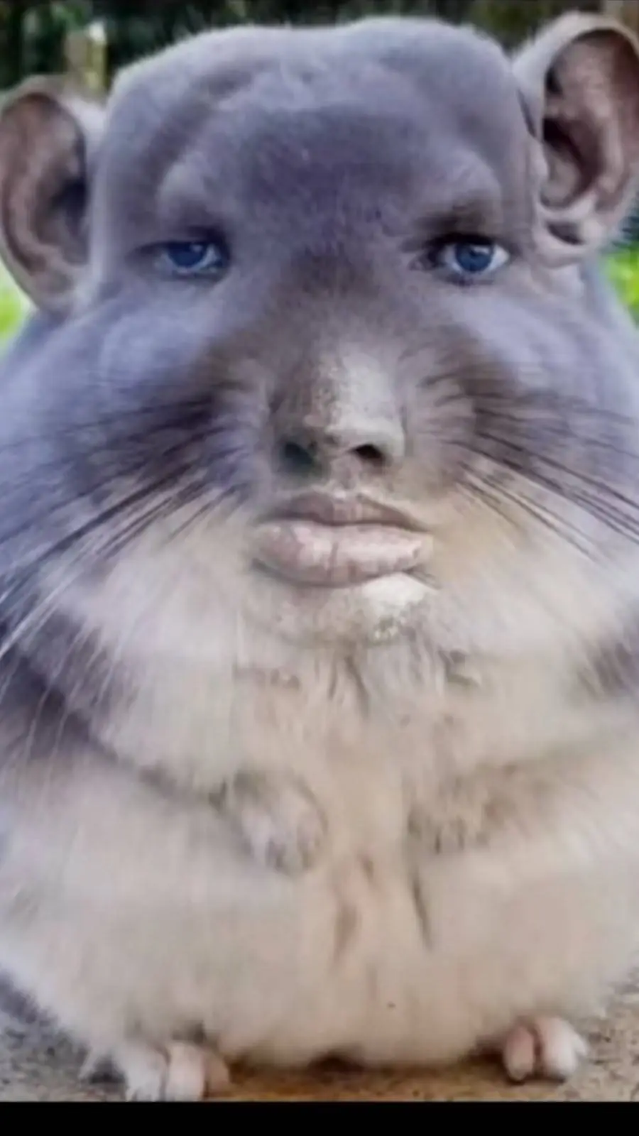 ai character: some random mouse background