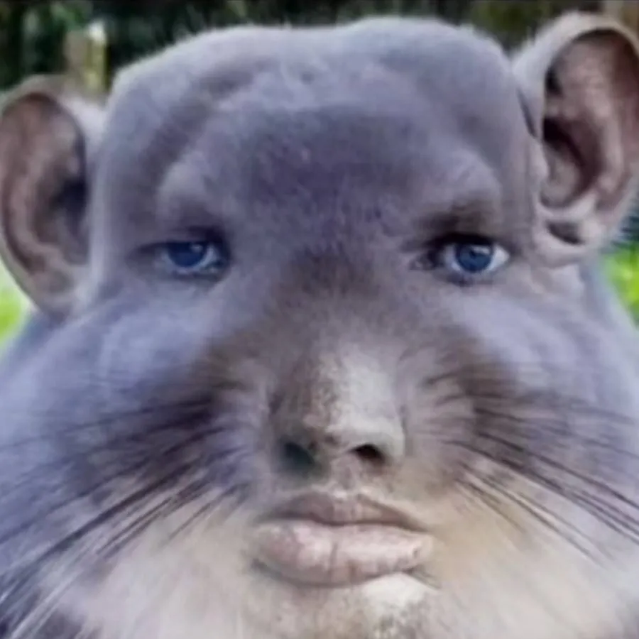 chat with ai character: some random mouse