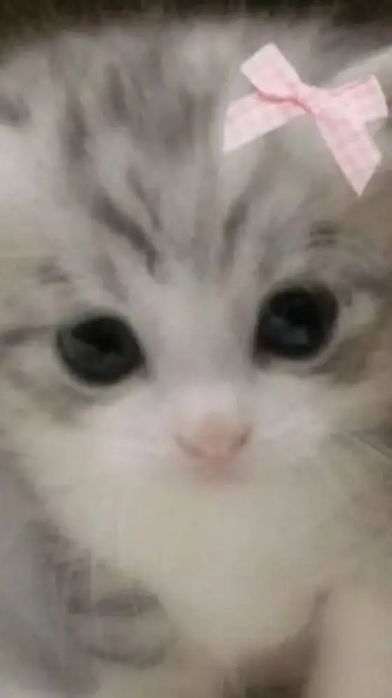 ai character: Whisker background