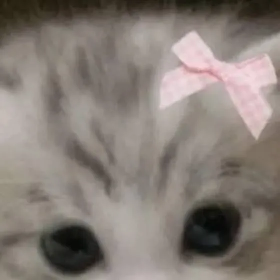 chat with ai character: Whisker