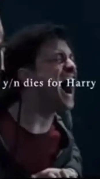 ai character: Y/n x Harry background