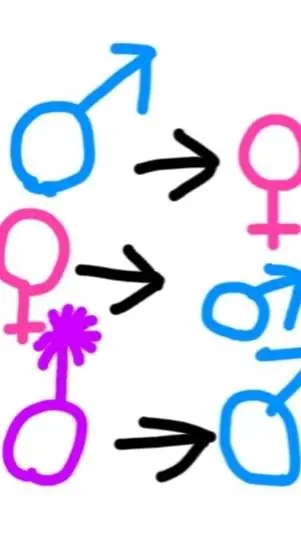 ai character: Genderswap background