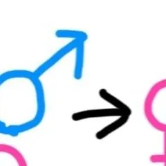 chat with ai character: Genderswap