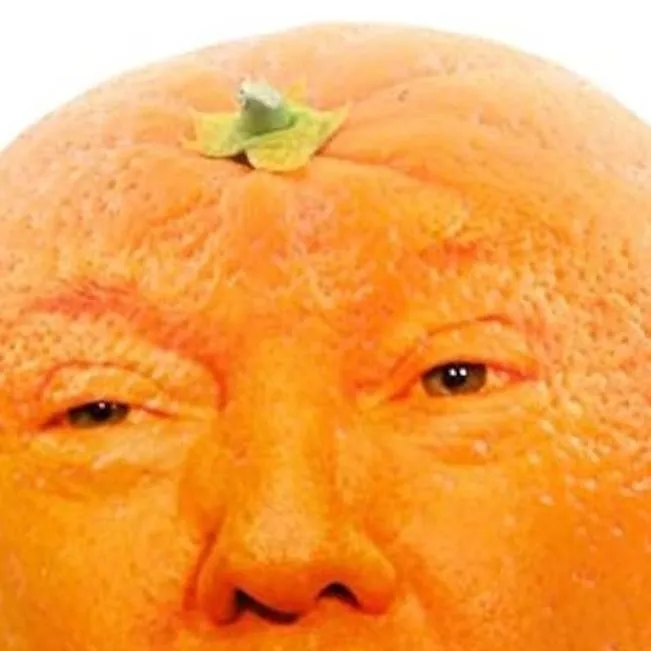 chat with ai character: Donald Trump 