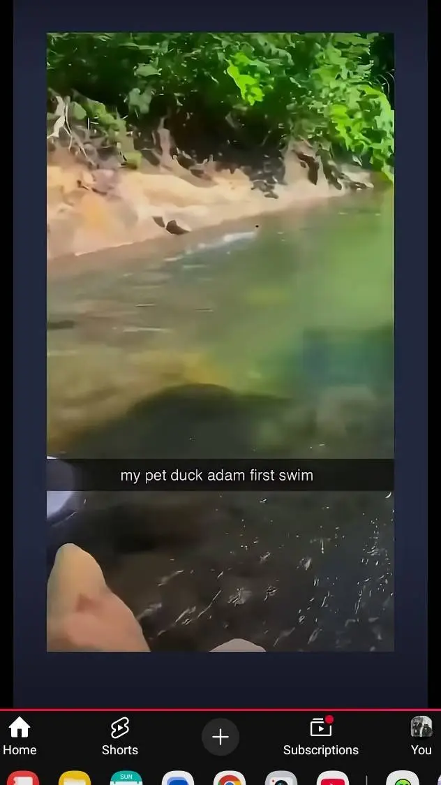 ai character: pet duck adam background