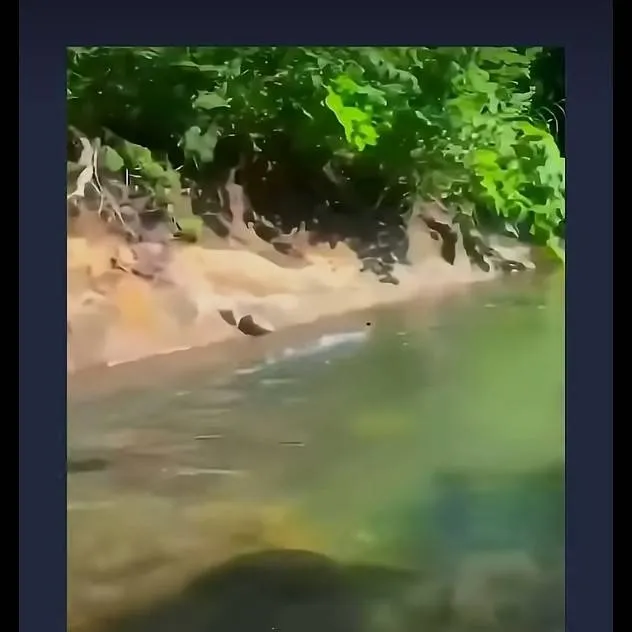 chat with ai character: pet duck adam