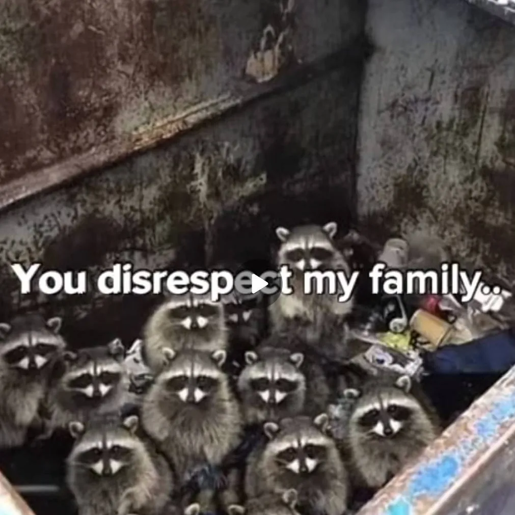 chat with ai character: amehhhhhsmorurkoe