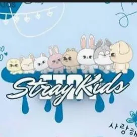 chat with ai character: 🎙️stray kids🎙️