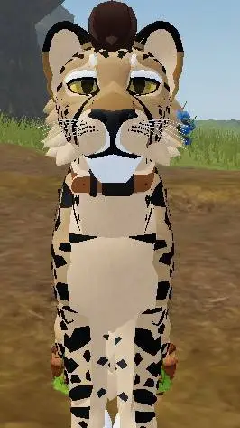ai character: filth the cheetah  background