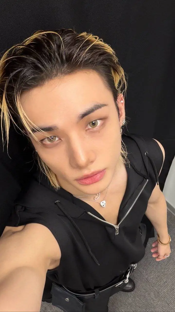 ai character: Hwang hyunjin background