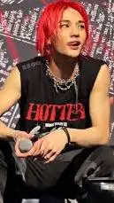 ai character: Hwang Hyunjin background