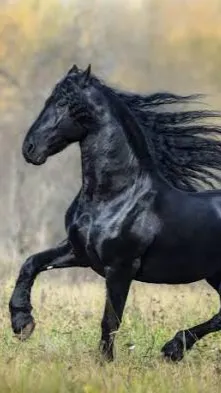 ai character: Bho background