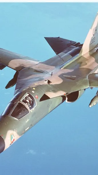 ai character: Aardvark strike background