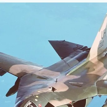 chat with ai character: Aardvark strike