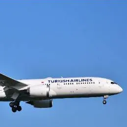 chat with ai character: el Turkish airline