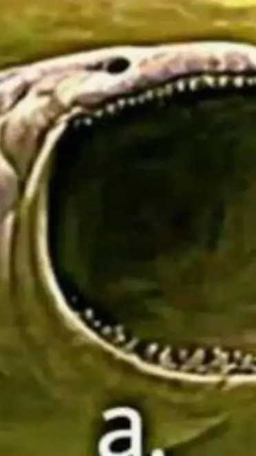 ai character: a background