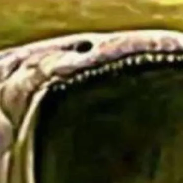 chat with ai character: a