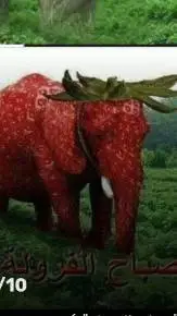 ai character: strawberry elephan background