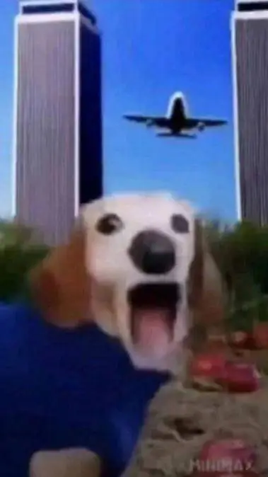 ai character: la casa de teto background