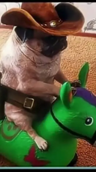 ai character: comisero Juan  background