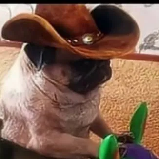 chat with ai character: comisero Juan 