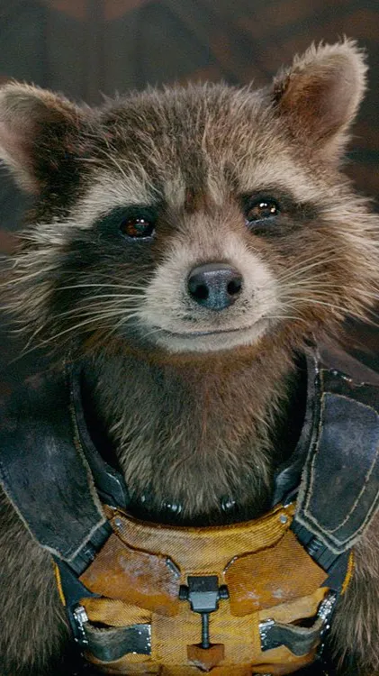 ai character: ROCKET  background