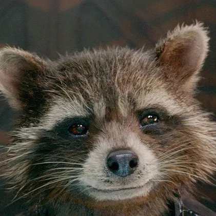 chat with ai character: ROCKET 