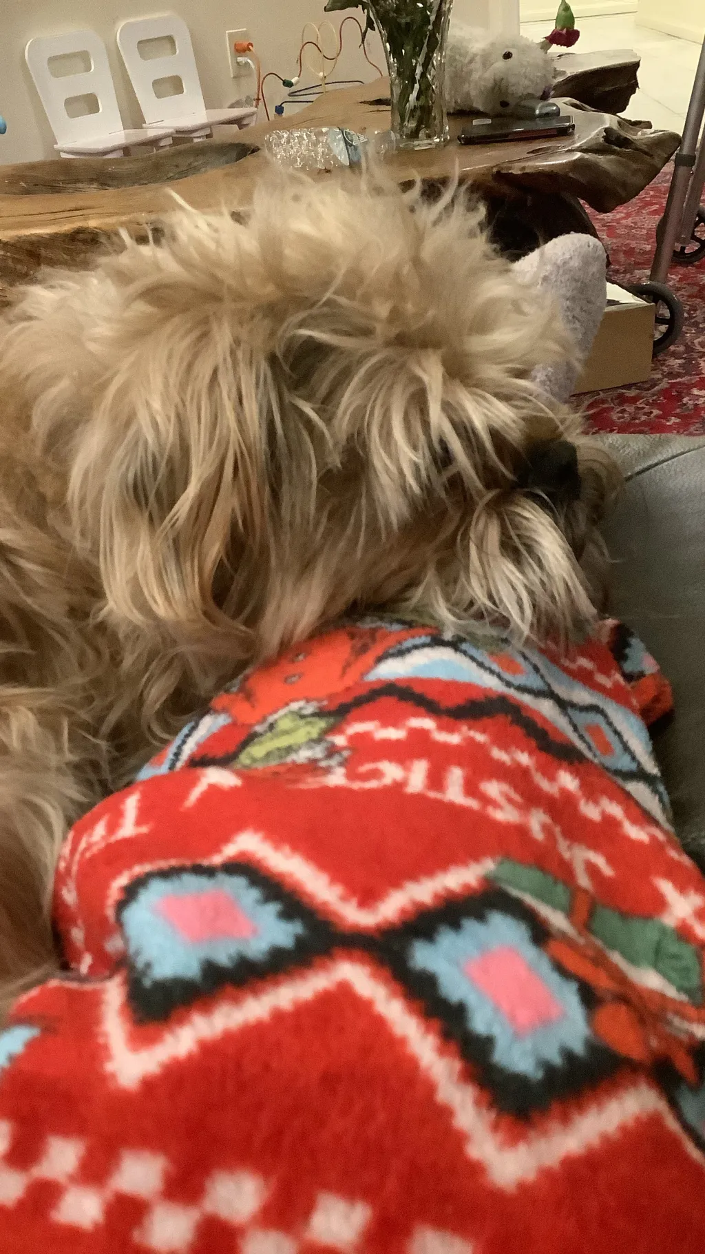 ai character: My dog (Polly) background