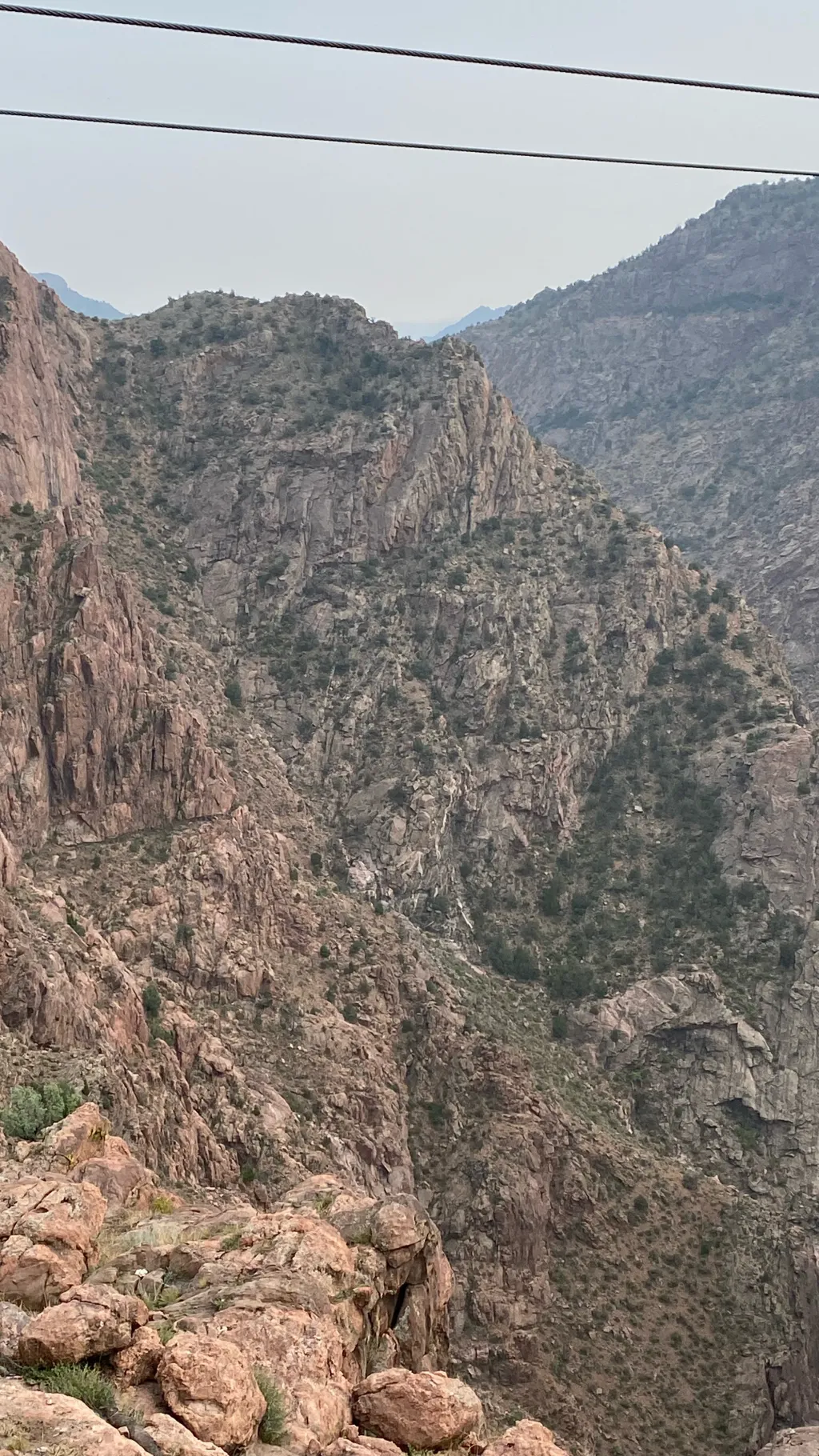 ai character: william background