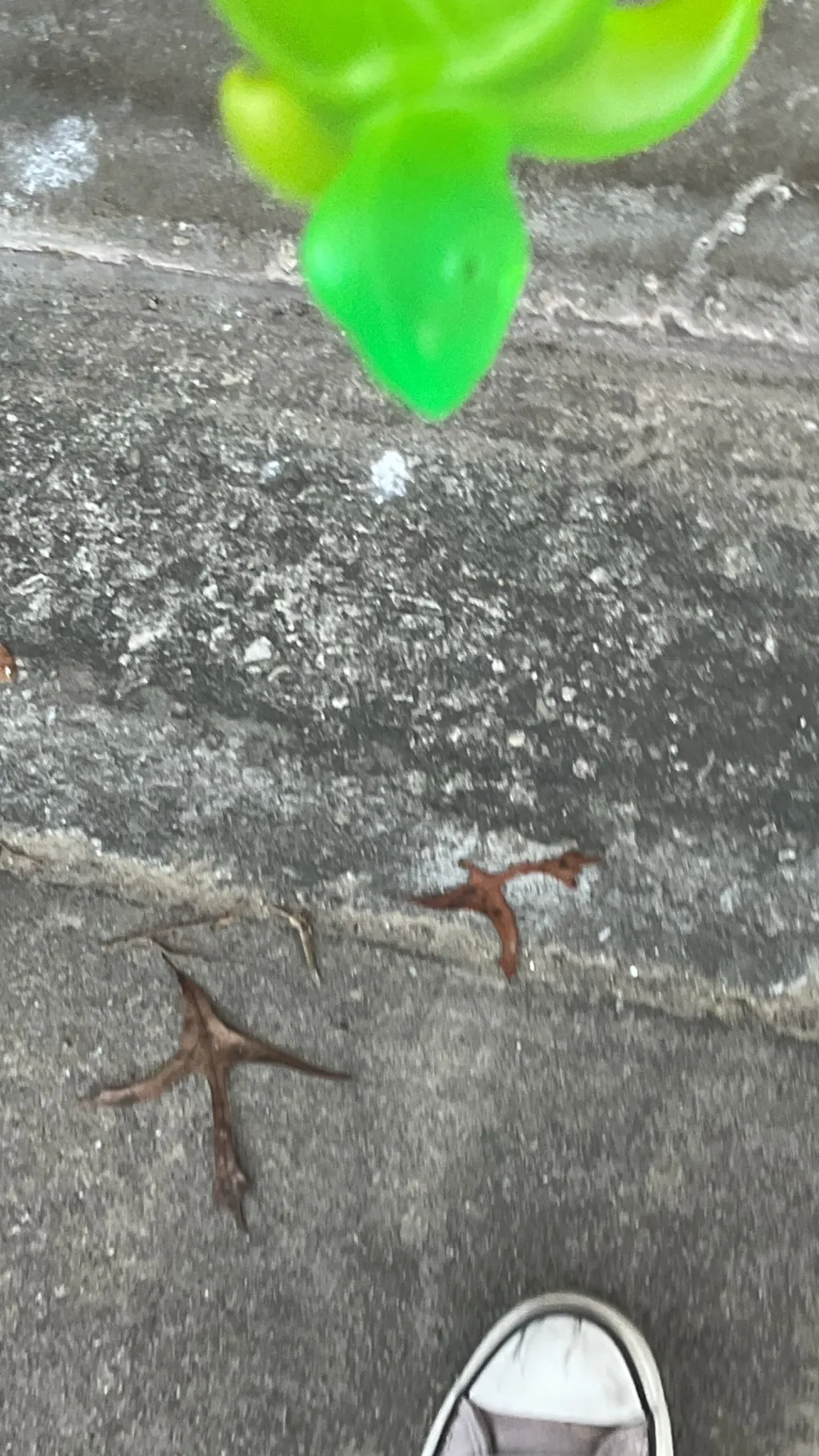 ai character: OMEGLE background