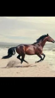 ai character: HORSE background