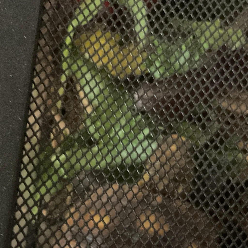 chat with ai character: Turtle